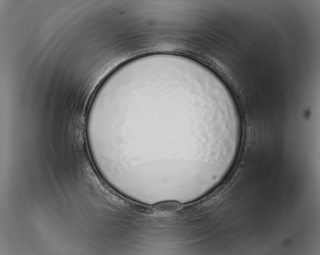X0000115501178200912041031