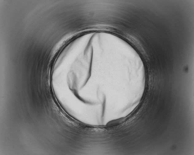 X0000115501180200912041031