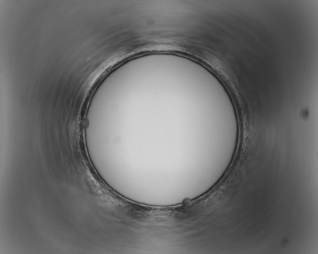 X0000115501181200912041031