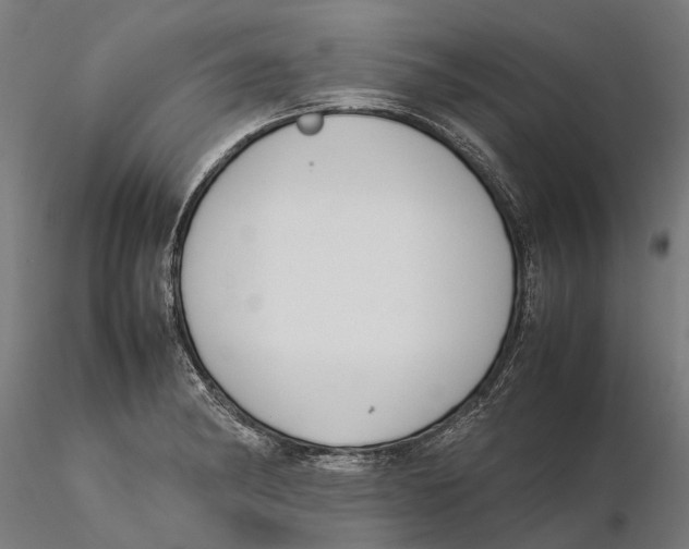 X0000115501182200912041031