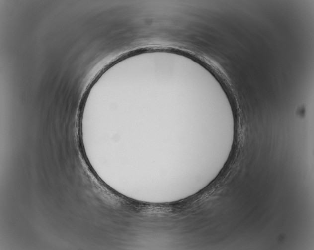 X0000115501183200912041031