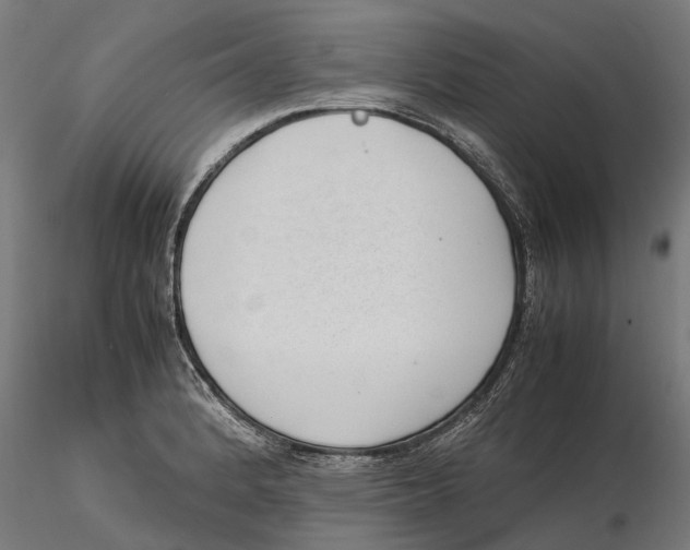 X0000115501184200912041031