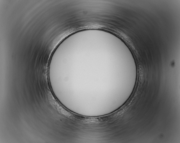 X0000115501186200912041031