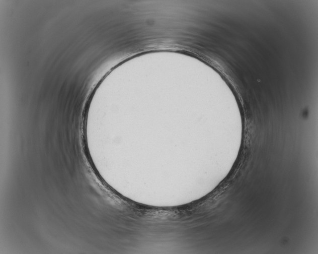 X0000115501187200912041031