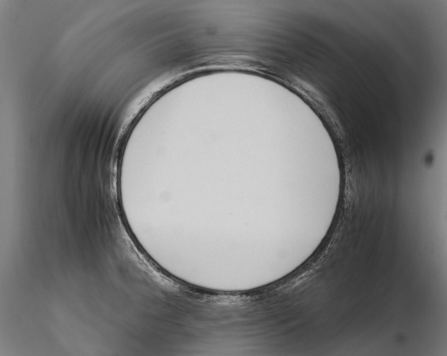 X0000115501188200912041031