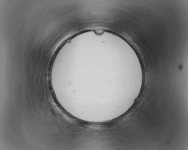 X0000115501189200912041031