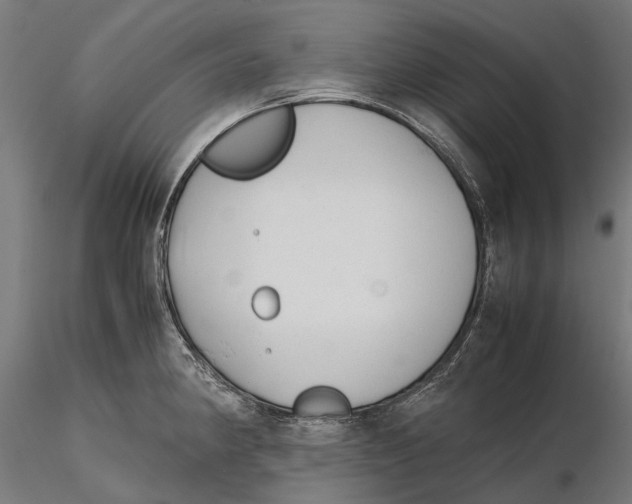 X0000115501190200912041031