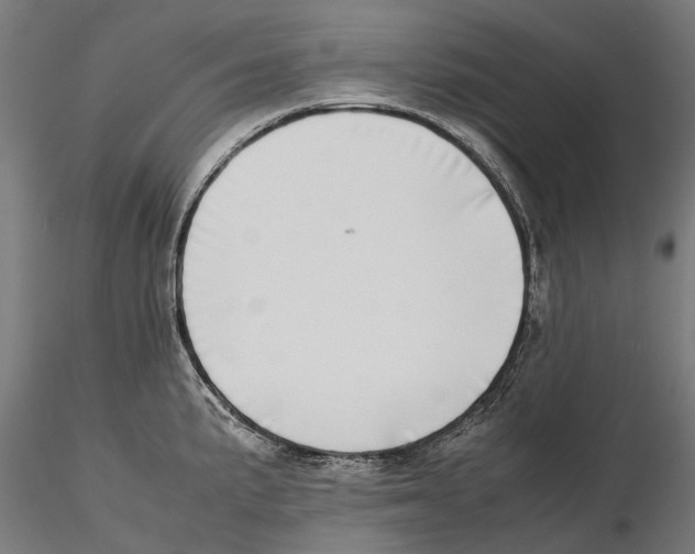 X0000115501191200912041031