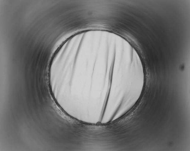 X0000115501192200912041031