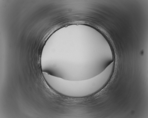 X0000115501193200912041031