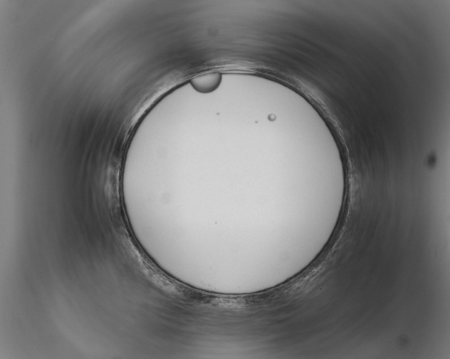 X0000115501194200912041031