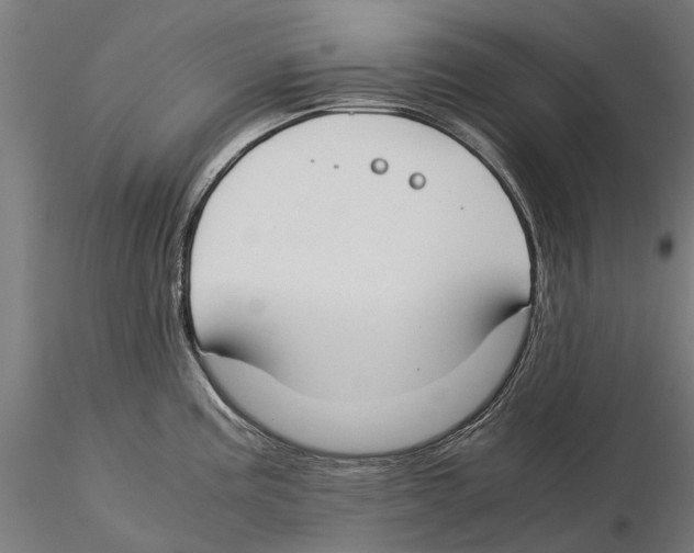 X0000115501195200912041031