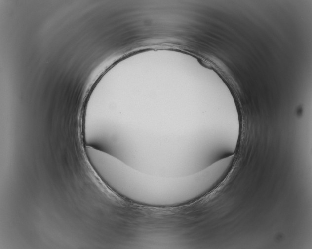 X0000115501196200912041031