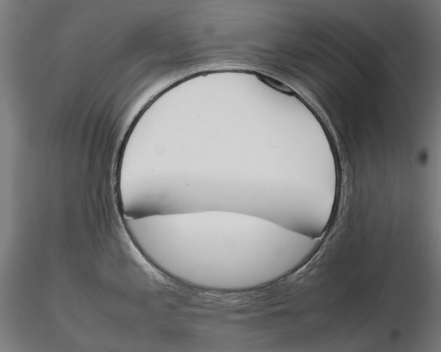 X0000115501197200912041031