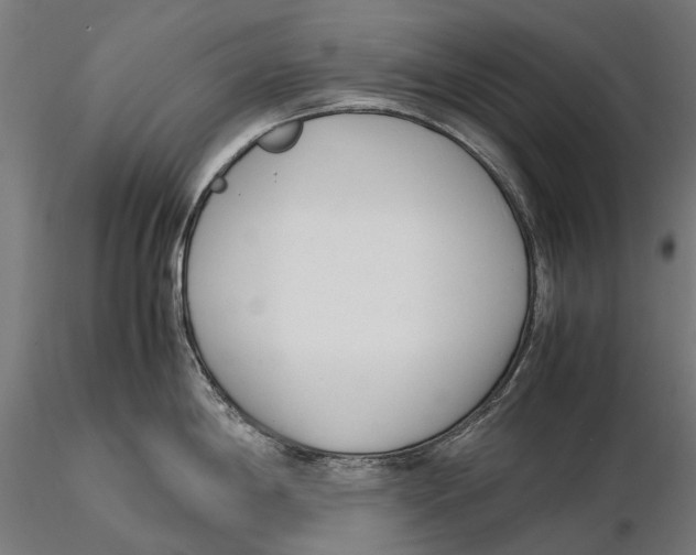X0000115501198200912041031