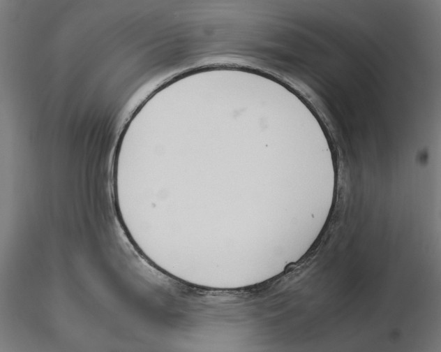 X0000115501199200912041031