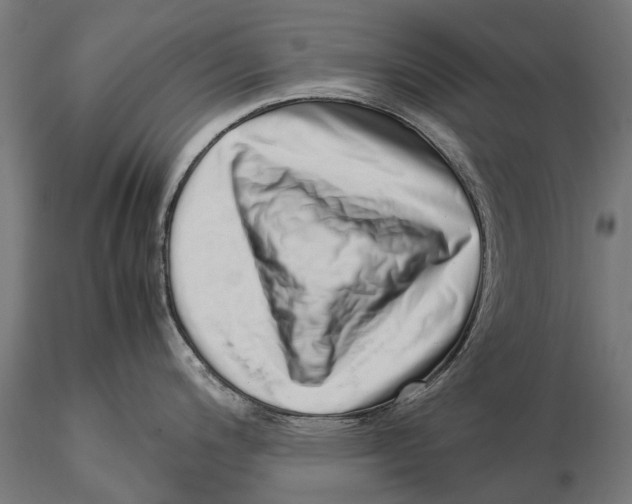 X0000115501200200912041031