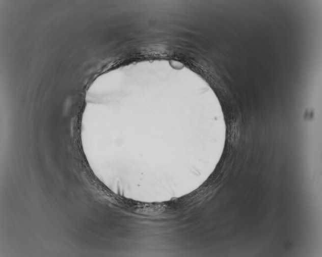 X0000115501201200912041030