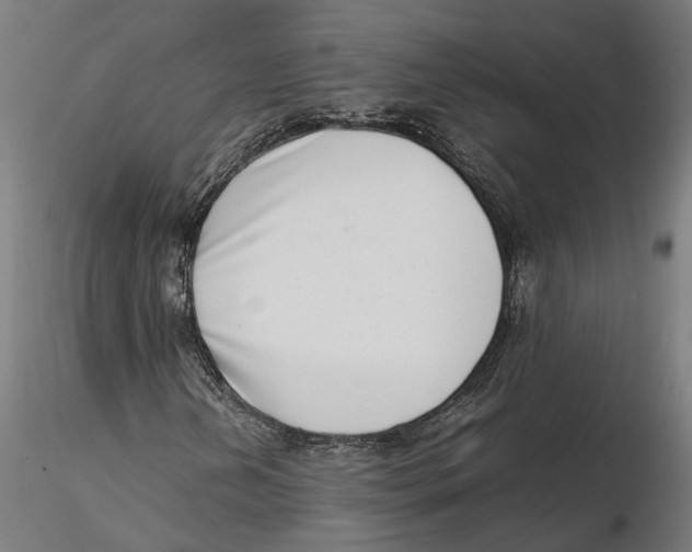 X0000115501202200912041030