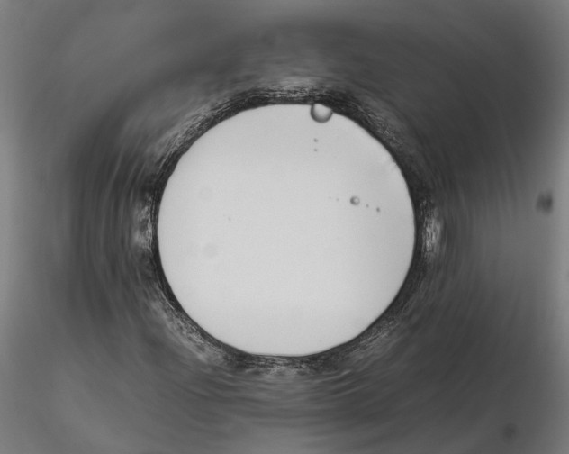 X0000115501204200912041030