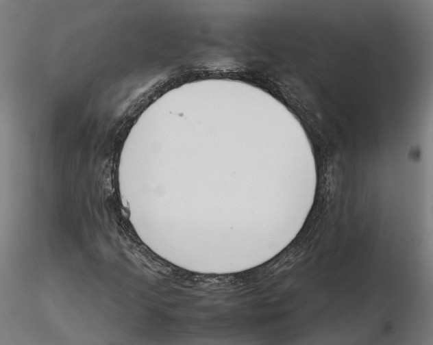 X0000115501205200912041030