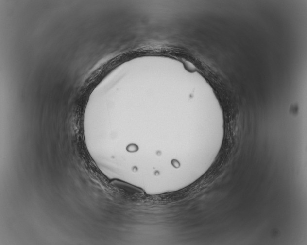 X0000115501206200912041030