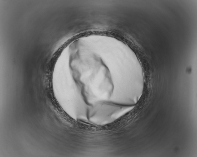 X0000115501208200912041030