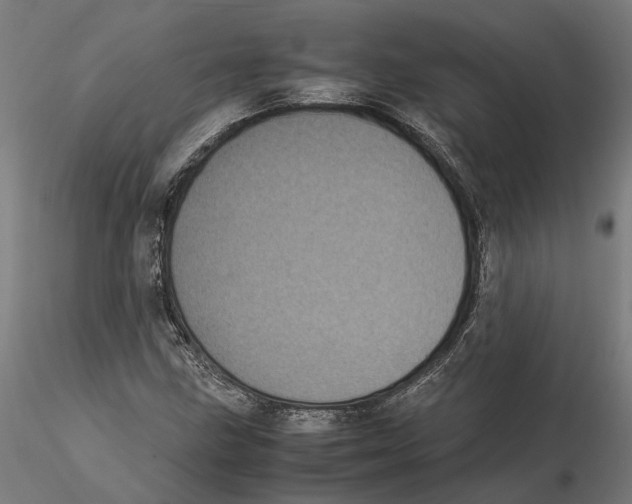 X0000115501211200912041030