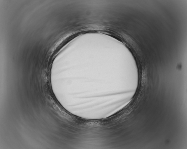 X0000115501212200912041030