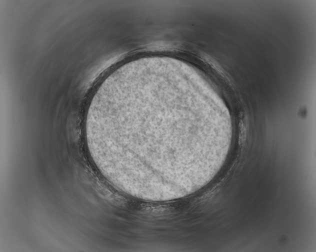 X0000115501213200912041030