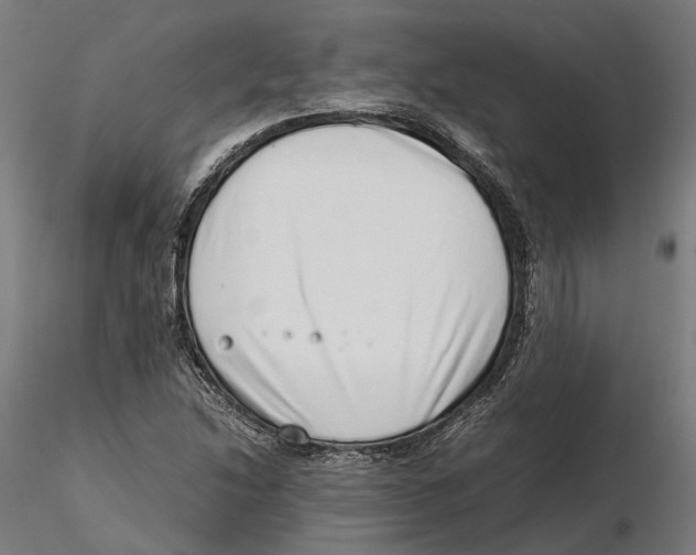 X0000115501214200912041030