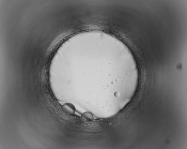 X0000115501215200912041030