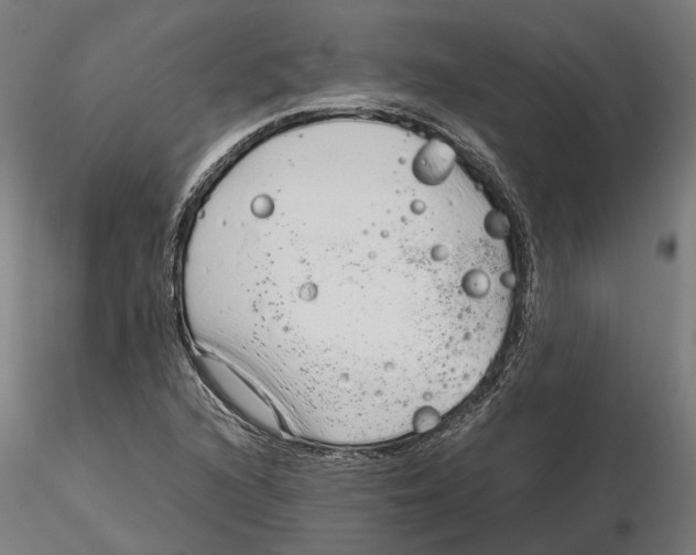 X0000115501216200912041030