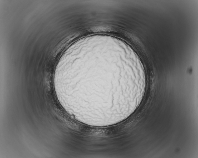 X0000115501217200912041030