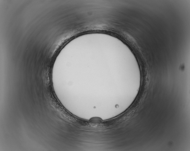 X0000115501218200912041030