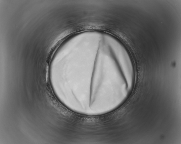 X0000115501219200912041030