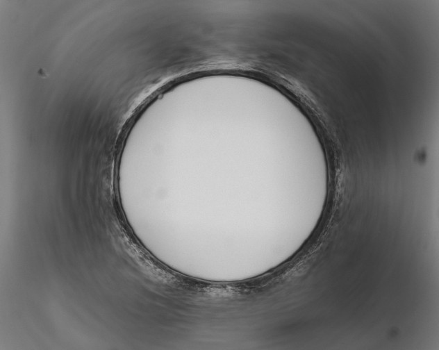 X0000115501220200912041030
