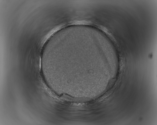X0000115501221200912041030