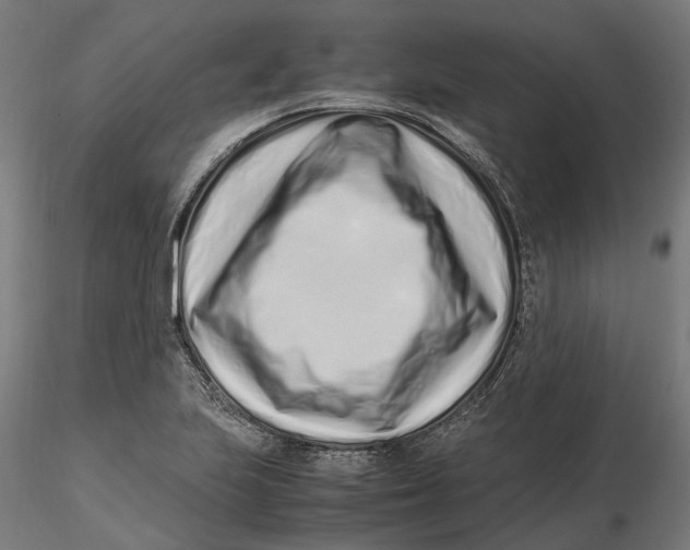 X0000115501223200912041031