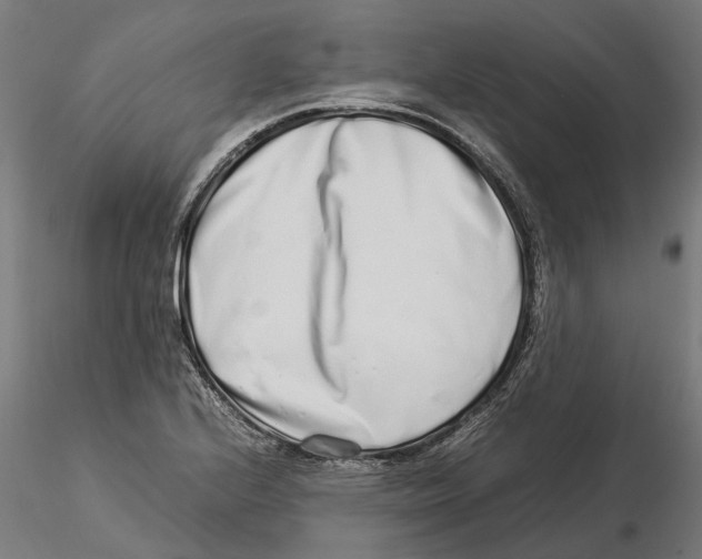 X0000115501224200912041031