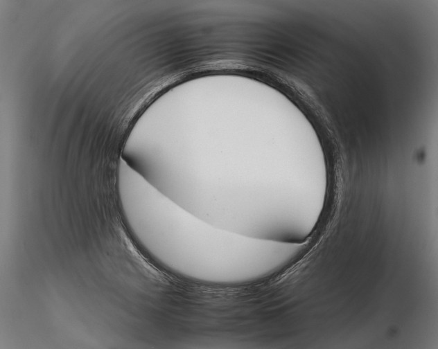 X0000115501225200912041031