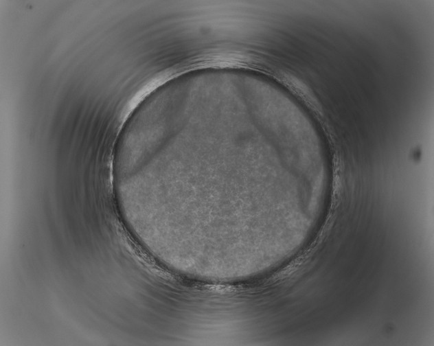 X0000115501226200912041031