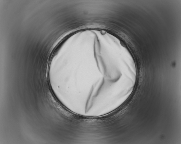 X0000115501228200912041031