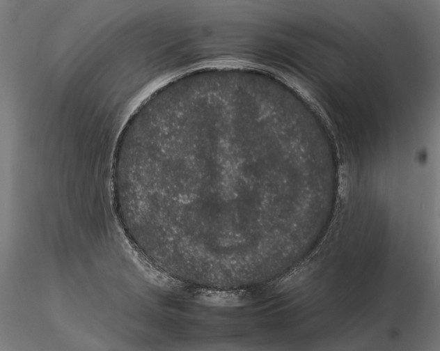 X0000115501229200912041031