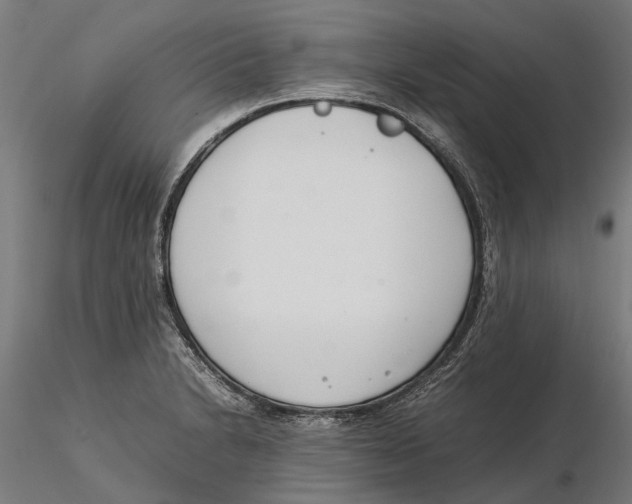 X0000115501230200912041031