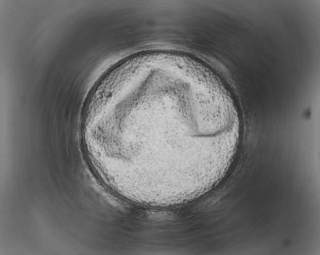 X0000115501231200912041031