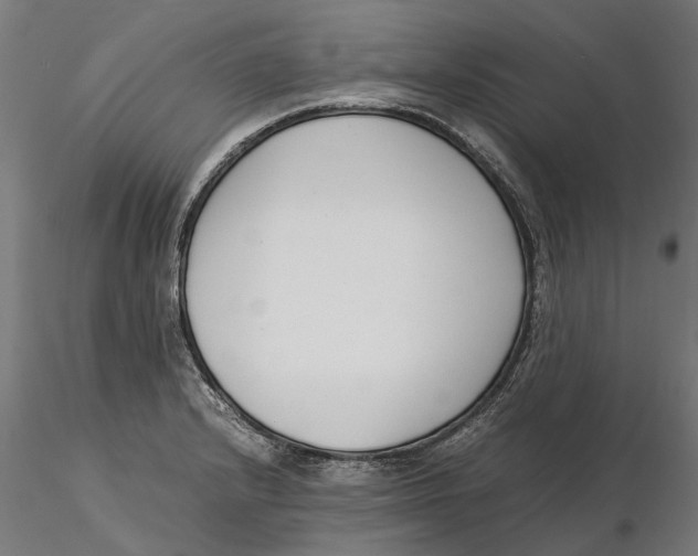 X0000115501232200912041031