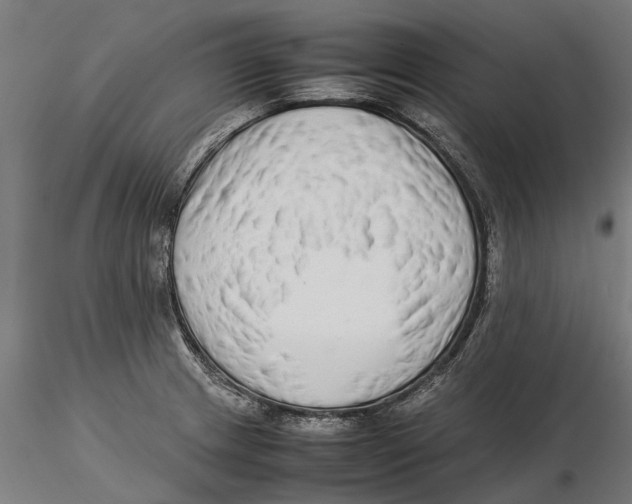 X0000115501233200912041031