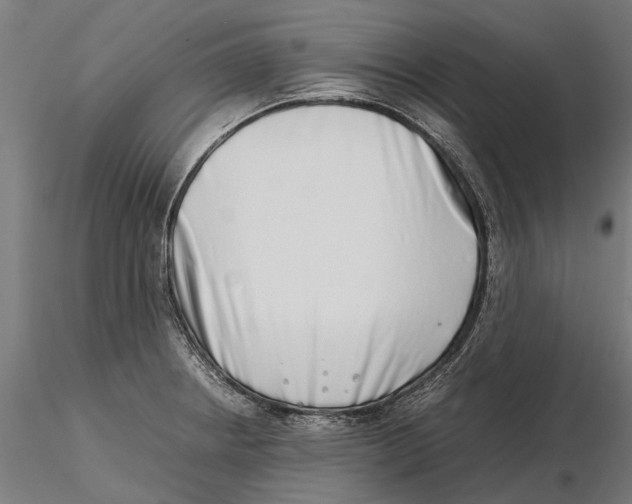 X0000115501234200912041031