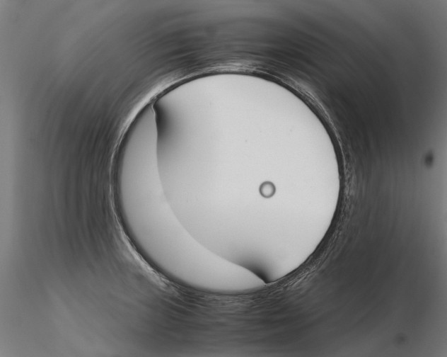 X0000115501235200912041031